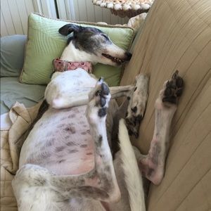 Meet your Posher, Cheryl